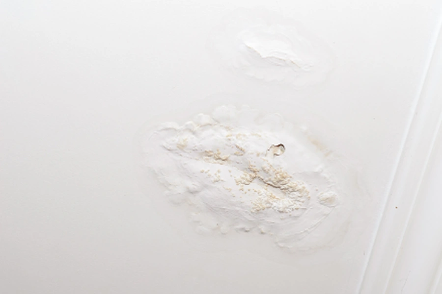 The Benefits Of Timely Drywall Patching For Home Maintenance in Davenport, FL